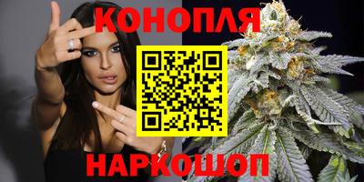 мяу мяу мука Ирбит