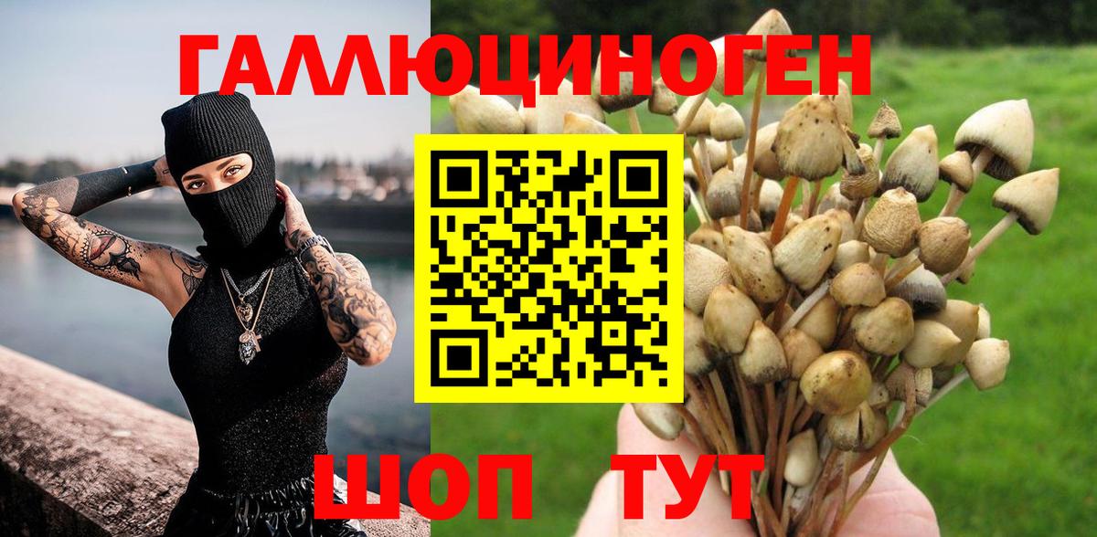Псилоцибиновые грибы MAGIC MUSHROOMS Краснознаменск