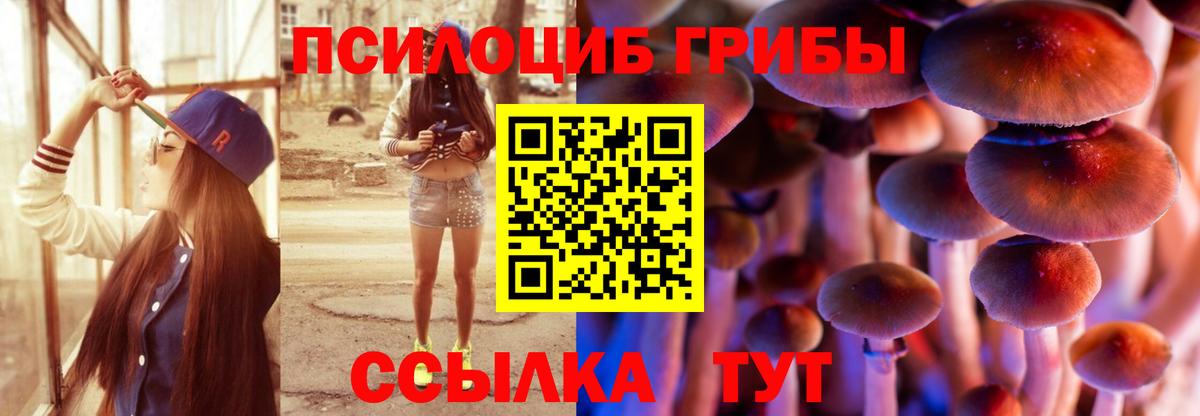Краснознаменск  Псилоцибиновые грибы Magic Shrooms  Вход с VPN 
